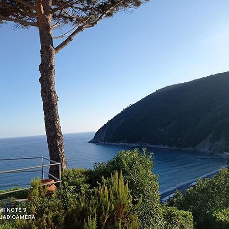 Casafischea19 Apartman Moneglia Kültér fotó