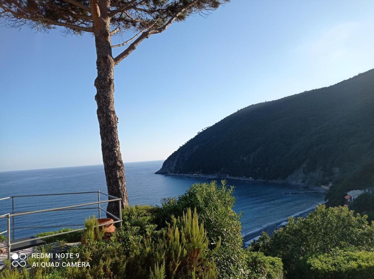 Casafischea19 Apartman Moneglia Kültér fotó
