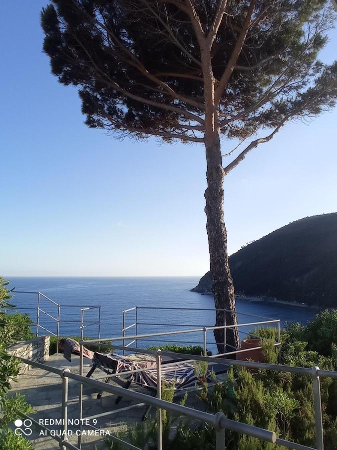 Casafischea19 Apartman Moneglia Kültér fotó