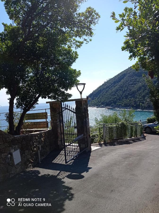 Casafischea19 Apartman Moneglia Kültér fotó